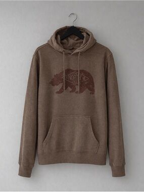 The North Face Brown Bear Graphic Pullover Hoodie Men’s S Outdoor Sweatshirt